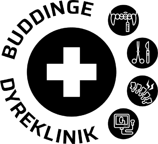 Buddinge Dyreklinik