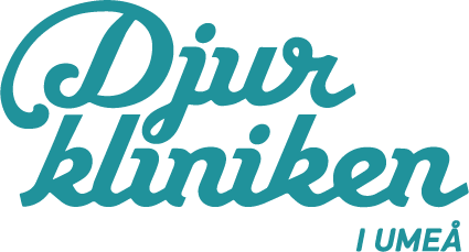 Djurkliniken i Umeå